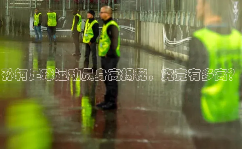 爱游戏app官方入口最新版本百度大脑孙轲足球运动员身高揭秘，究竟有多高？