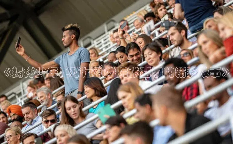 爱游戏体育同程《揭秘少年足球运动学院张嘉宁的精彩故事》