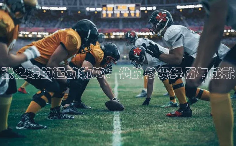 爱游戏app手机官方网站百度学术张之臻的运动轨迹：他的参赛经历与成就