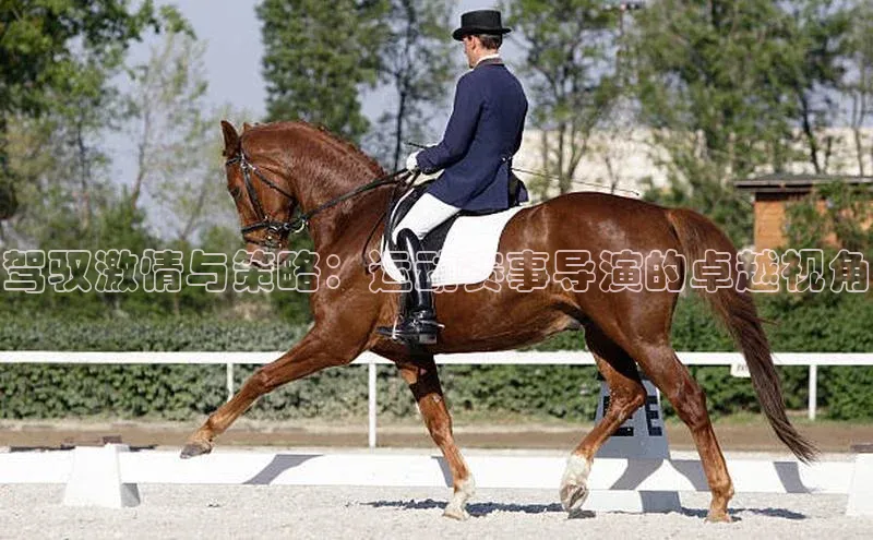驾驭激情与策略：运动赛事导演的卓越视角