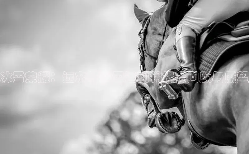 冰雪荣耀：远东杯冰雪运动锦标赛回顾与展望