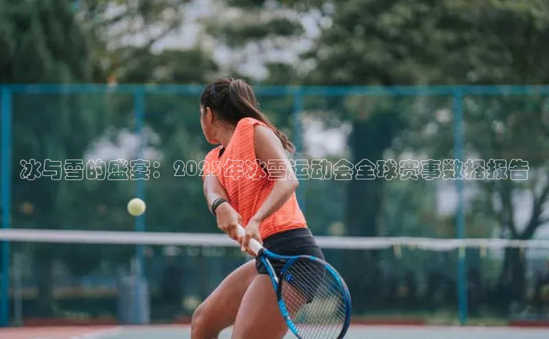 冰与雪的盛宴：2023年冰雪运动会全球赛事数据报告