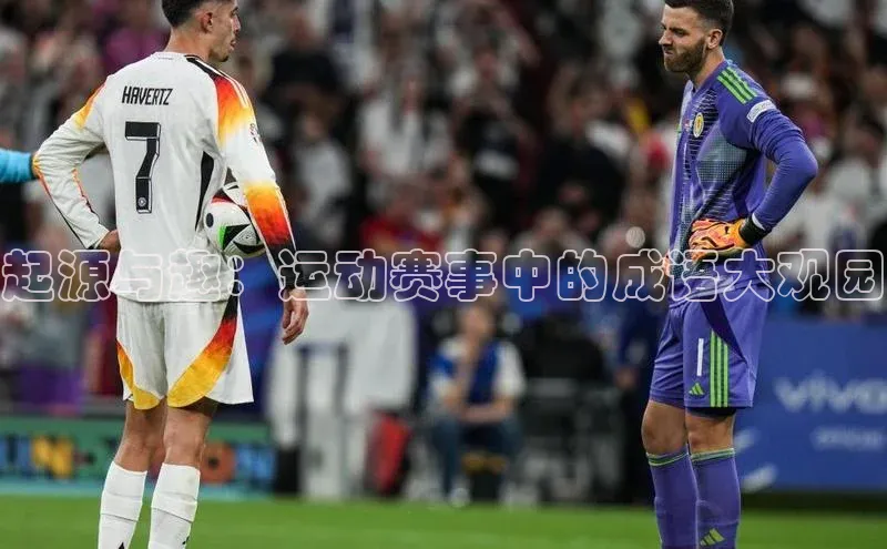 起源与趣：运动赛事中的成语大观园