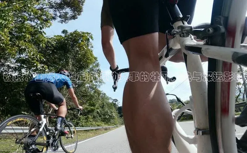 极限：国际大型定向运动赛事的壮丽对决与深远影响