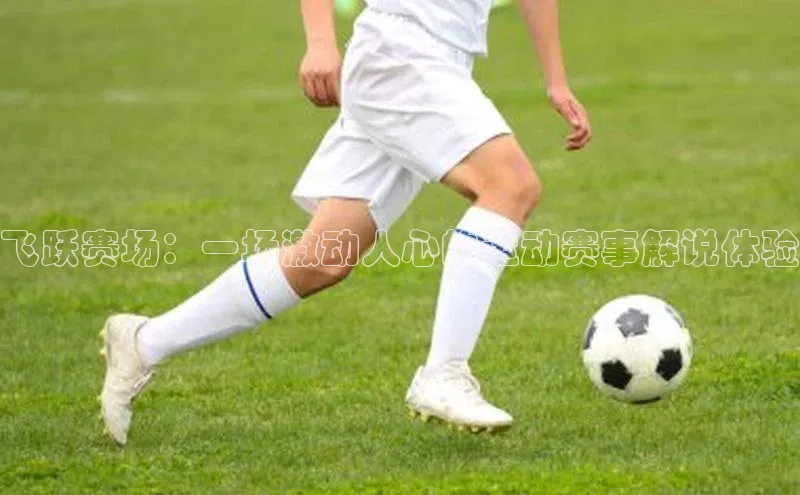 飞跃赛场：一场激动人心的运动赛事解说体验