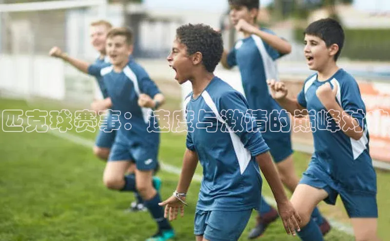 匹克球赛事：速度与激情的巅峰对决