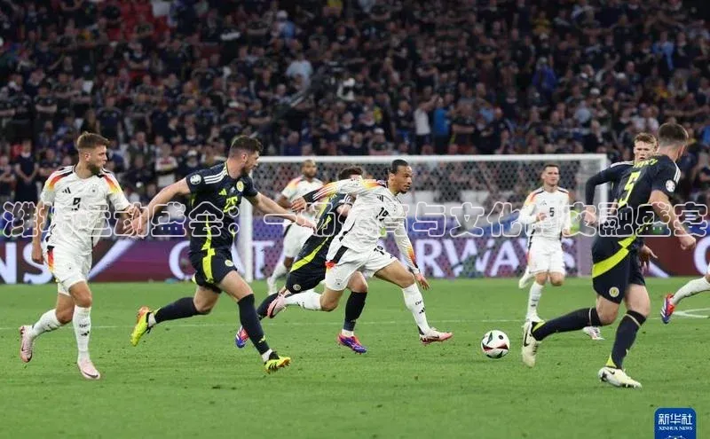 潍坊运动盛会：一场体育与文化的交融盛宴