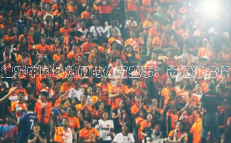 追踪中国最热门的体育盛事：市值排名榜
