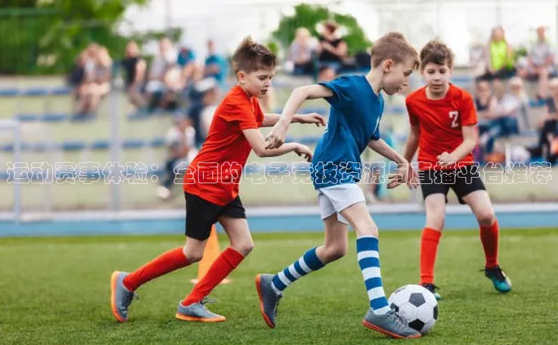 运动赛事体验：全面的电子竞技资源与直播平台推荐