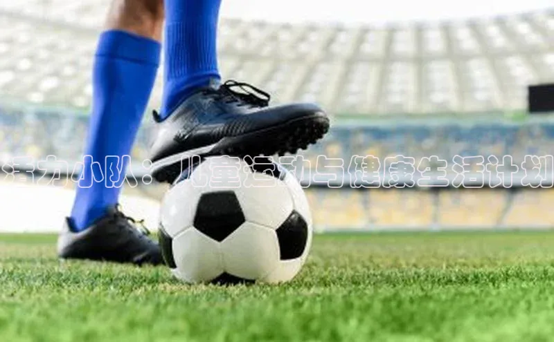 活力小队：儿童运动与健康生活计划