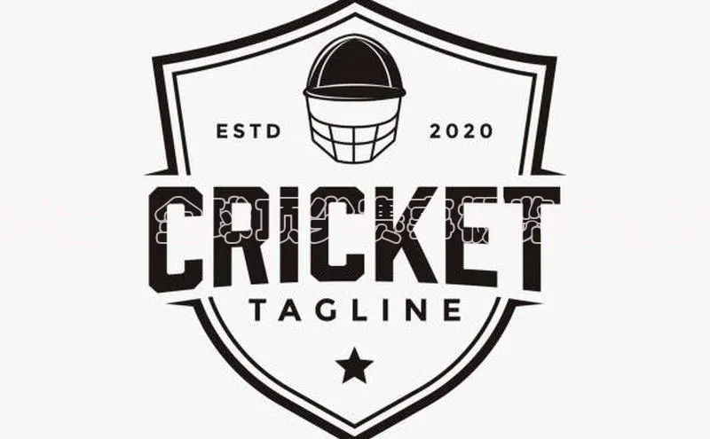 拳击：全球顶尖赛事概览与分析