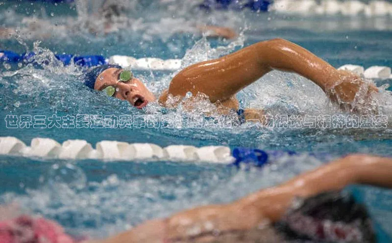 世界三大主要运动赛事的竞技与文化：一场视觉与精神的盛宴